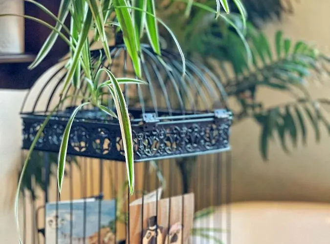 14 * Белладжо